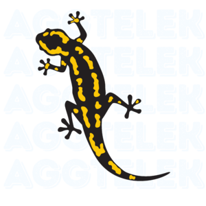 Aggtelek