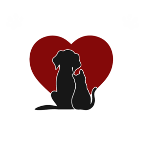 Fogadj örökbe